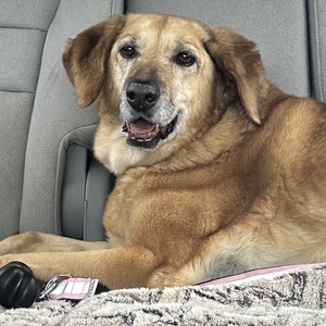 Fundraising Page: Trudy Albrecht